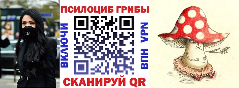 Псилоцибиновые грибы прущие грибы  ОМГ ОМГ вход  Наро-Фоминск 